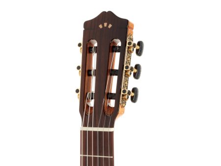 Tapa Solida SPRUCE | Cuerpo ROSEWOOD | Brillante - Image 7