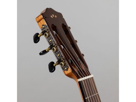 Tapa Solida SPRUCE | Cuerpo ROSEWOOD | Brillante - Image 8