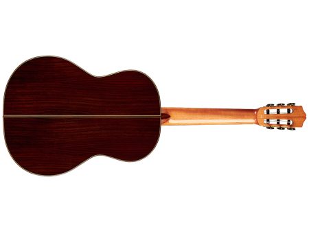 Tapa Solida SPRUCE | Cuerpo ROSEWOOD | Brillante - Image 2