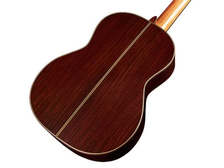 Tapa Solida SPRUCE | Cuerpo ROSEWOOD | Brillante - Image 4