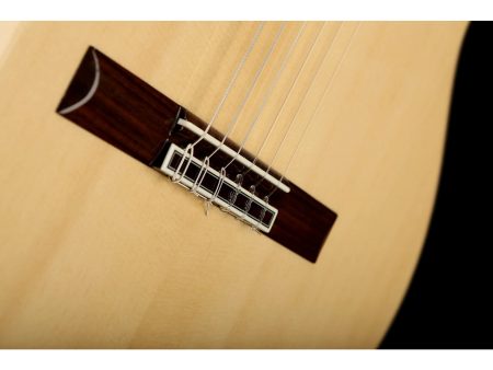 Tapa Solida SPRUCE | Cuerpo ROSEWOOD | Brillante - Image 10