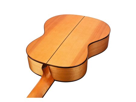 Tapa Solida SPRUCE | Cuerpo CYPRESS | Brillante - Image 4