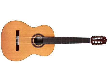 Tapa Solida RED CEDAR |Cuerpo ROSEWOOD | Brillante