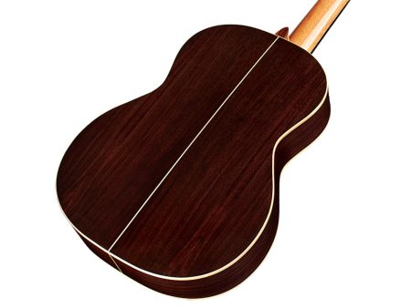 Tapa Solida RED CEDAR |Cuerpo ROSEWOOD | Brillante - Image 4