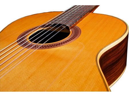 Tapa Solida RED CEDAR |Cuerpo ROSEWOOD | Brillante - Image 8