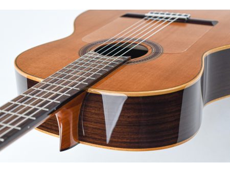 Tapa Solida RED CEDAR |Cuerpo ROSEWOOD | Brillante - Image 9