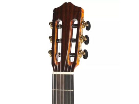 Toda Solida|Tapa CEDAR Cuerpo MAHOGANY| Estuche - Image 8