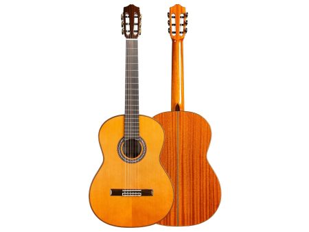 Toda Solida|Tapa CEDAR Cuerpo MAHOGANY| Estuche - Image 6