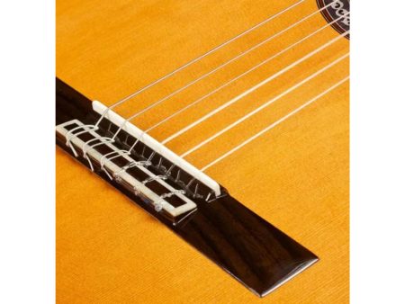 Toda Solida|Tapa CEDAR Cuerpo MAHOGANY| Estuche - Image 10
