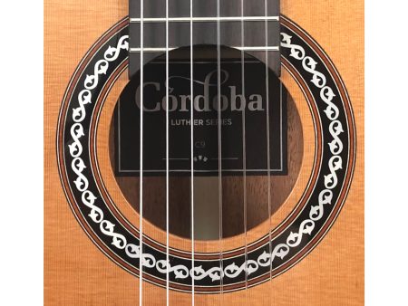 Toda Solida|Tapa CEDAR Cuerpo MAHOGANY| Estuche - Image 7