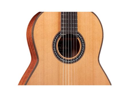 Toda Solida|Tapa CEDAR Cuerpo MAHOGANY | Estuche - Image 5