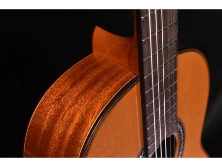 Toda Solida|Tapa CEDAR Cuerpo MAHOGANY | Estuche - Image 8