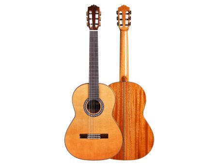 Toda Solida|Tapa CEDAR Cuerpo MAHOGANY | Estuche - Image 6