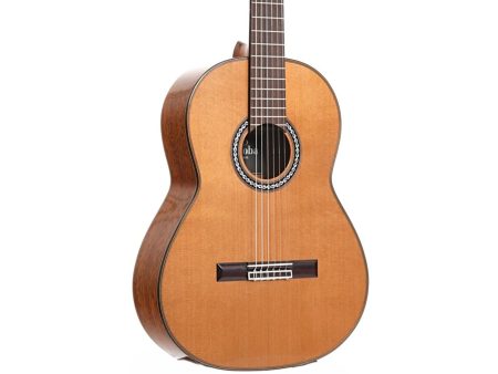 Toda Solida|Tapa CEDAR Cuerpo MAHOGANY | Estuche - Image 10
