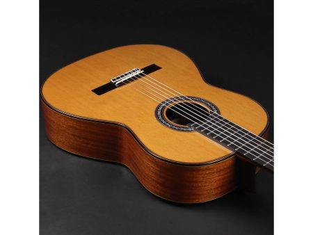 Toda Solida|Tapa CEDAR Cuerpo MAHOGANY | Estuche - Image 7
