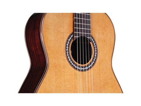 Toda Solida|Tapa CEDAR Cuerpo ROSEWOOD | Estuche - Image 5