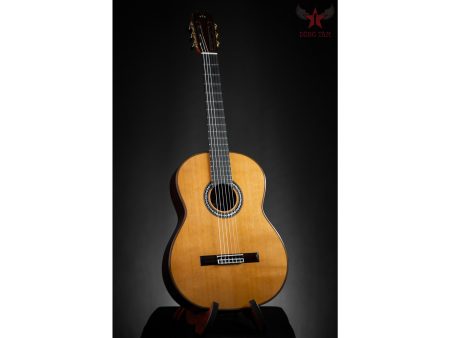 Toda Solida|Tapa CEDAR Cuerpo ROSEWOOD | Estuche - Image 7