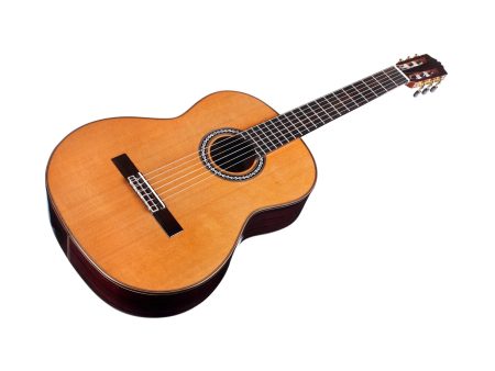 Toda Solida|Tapa CEDAR Cuerpo ROSEWOOD | Estuche - Image 3