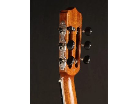Solida |CEDAR + ROSEWOOD | Mastil SLIM | Estuche - Image 7