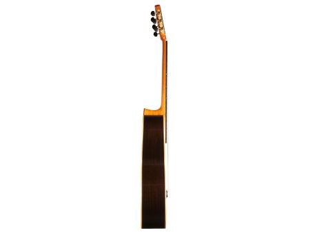 SOLIDA| SPRUCE + ROSEWOOD + FLAMED MAPLE|HumiCASE - Image 4