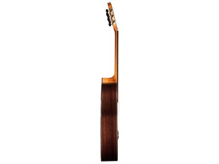 Toda Solida CEDAR + ROSEWOOD | HumiCASE - Image 3