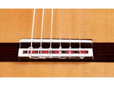 Toda Solida CEDAR + ROSEWOOD | HumiCASE - Image 5