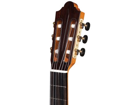 Toda Solida CEDAR + ROSEWOOD | HumiCASE - Image 4