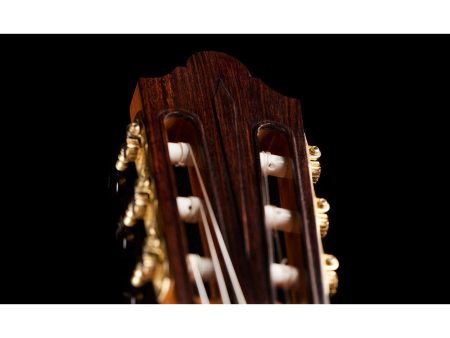 Toda Solida CEDAR + ROSEWOOD | HumiCASE - Image 8