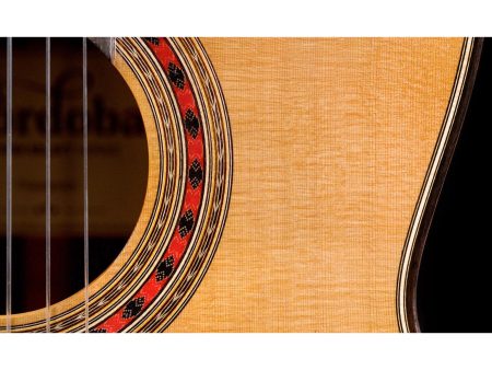Toda Solida CEDAR + ROSEWOOD | HumiCASE - Image 7