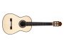 Toda Solida | Italian SPRUCE + ROSEWOOD | Made in USA