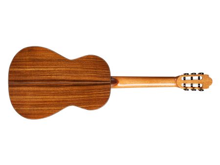 Toda Solida | Italian SPRUCE + ROSEWOOD | Made in USA - Image 2