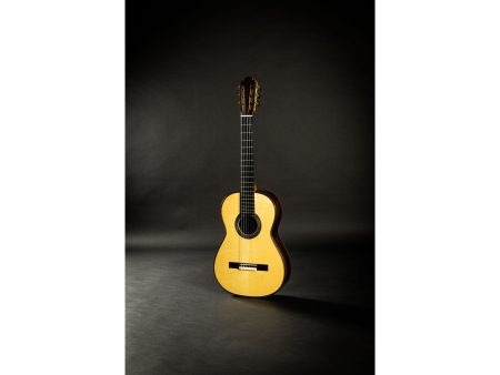 Toda Solida | Italian SPRUCE + ROSEWOOD | Made in USA - Image 7