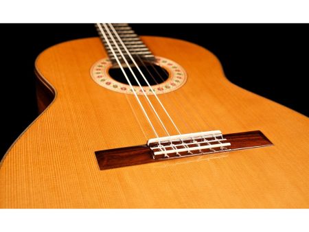 Toda Solida | Red CEDAR + ROSEWOOD |Made in USA - Image 6