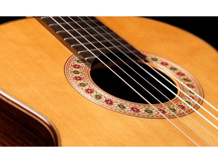 Toda Solida | Red CEDAR + ROSEWOOD |Made in USA - Image 10