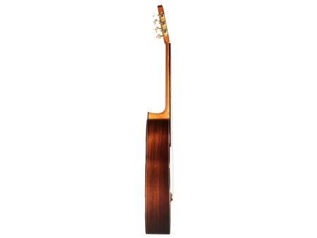 Toda Solida | Red CEDAR + ROSEWOOD |Made in USA - Image 5