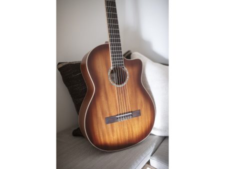Tapa Solida MAHOGANY| Fishman Presys VT |Satinada - Image 10