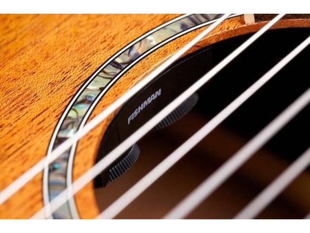 Tapa Solida MAHOGANY| Fishman Presys VT |Satinada - Image 7