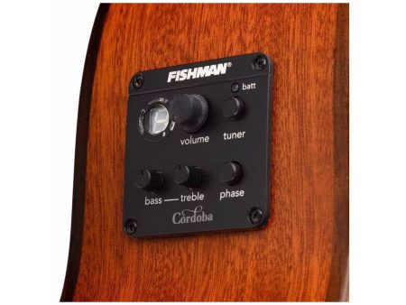 Tapa Solida SPRUCE| Fishman Presys II | Brillante - Image 6
