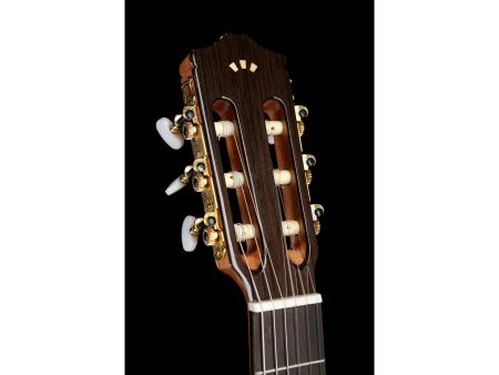 Tapa Solida CEDAR | Fishman Presys II | Brillante - Image 7