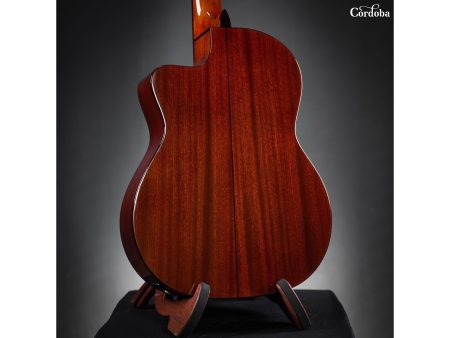 Tapa Solida CEDAR | Fishman Presys II | Brillante - Image 10