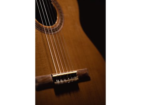 Tapa Solida CEDAR | Fishman Presys II | Brillante - Image 8