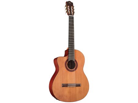 ZURDA | Tapa Solida CEDAR | Fishman Presys II - Image 5