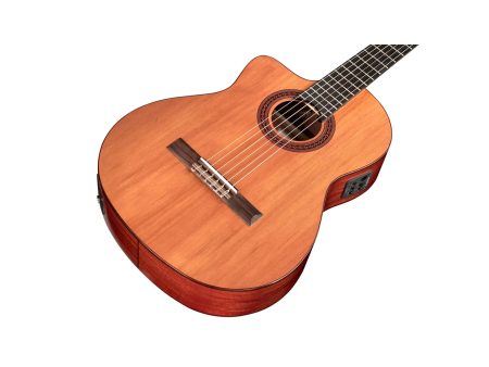ZURDA | Tapa Solida CEDAR | Fishman Presys II - Image 3