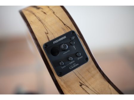 Tapa Solida SPRUCE 1/2 Caja |Fishman Presys II - Image 9