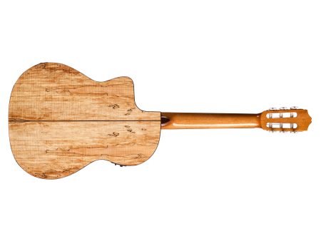 Tapa Solida SPRUCE 1/2 Caja |Fishman Presys II - Image 2