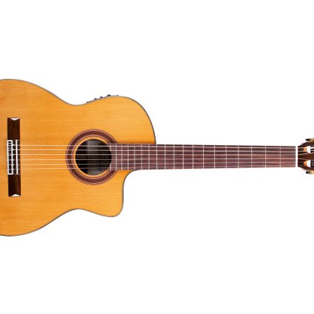 Tapa Solida CEDAR Cuerpo ROSEWOOD|Fishman Presys Blend