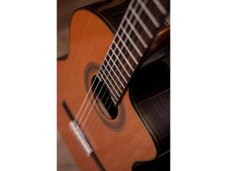 Tapa Solida CEDAR Cuerpo ROSEWOOD|Fishman Presys Blend - Image 7