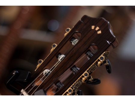 Tapa Solida CEDAR Cuerpo ROSEWOOD|Fishman Presys Blend - Image 8