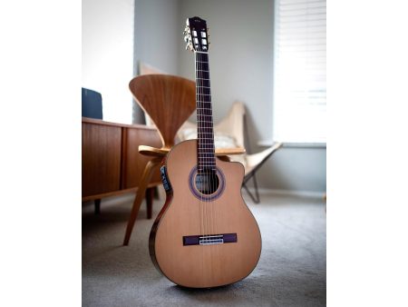 Tapa Solida CEDAR Cuerpo ROSEWOOD|Fishman Presys Blend - Image 9