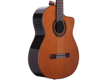 Tapa Solida CEDAR Cuerpo ROSEWOOD|Fishman Presys Blend - Image 6